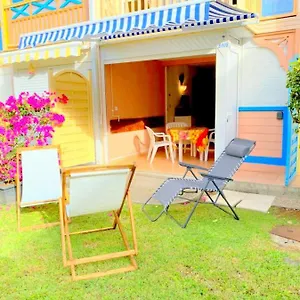 Color Garden - Martinique Sainte-Anne